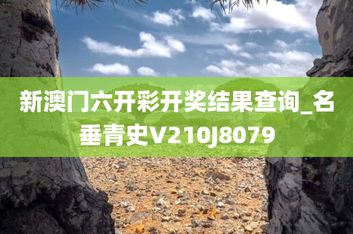 新澳门六开彩开奖结果查询_名垂青史V210J8079