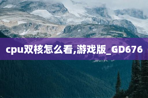 cpu双核怎么看,游戏版_GD676