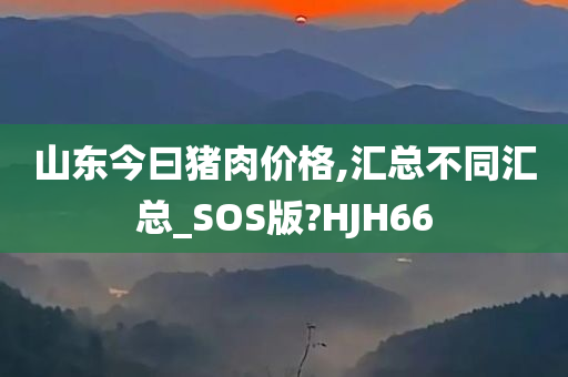 山东今曰猪肉价格,汇总不同汇总_SOS版?HJH66