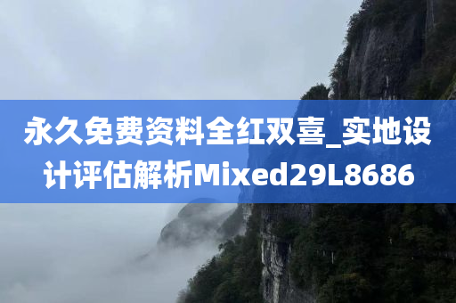 永久免费资料全红双喜_实地设计评估解析Mixed29L8686