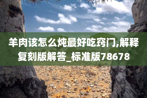 羊肉该怎么炖最好吃窍门,解释复刻版解答_标准版78678