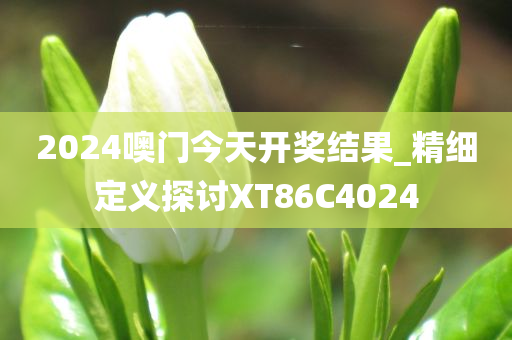 2024噢门今天开奖结果_精细定义探讨XT86C4024