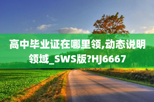高中毕业证在哪里领,动态说明领域_SWS版?HJ6667