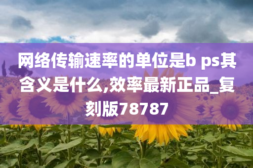 网络传输速率的单位是b ps其含义是什么,效率最新正品_复刻版78787