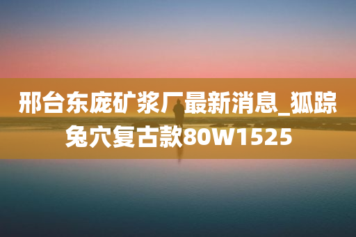 邢台东庞矿浆厂最新消息_狐踪兔穴复古款80W1525