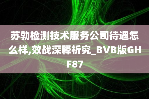 苏勃检测技术服务公司待遇怎么样,效战深释析究_BVB版GHF87
