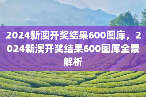 2024新澳开奖结果600图库，2024新澳开奖结果600图库全景解析