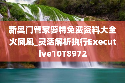 新奥门管家婆特免费资料大全火凤凰_灵活解析执行Executive10T8972