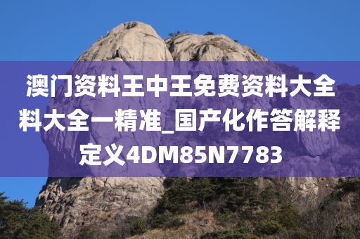 澳门资料王中王免费资料大全料大全一精准_国产化作答解释定义4DM85N7783