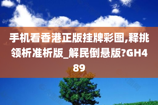 手机看香港正版挂牌彩图,释挑领析准析版_解民倒悬版?GH489