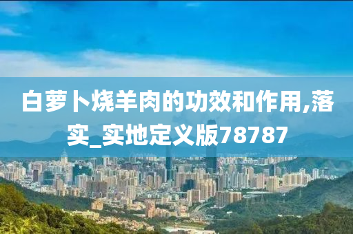白萝卜烧羊肉的功效和作用,落实_实地定义版78787