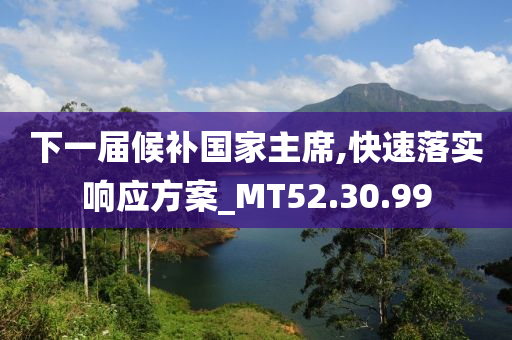 下一届候补国家主席,快速落实响应方案_MT52.30.99
