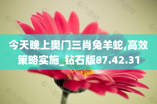 今天晚上奥门三肖兔羊蛇,高效策略实施_钻石版87.42.31