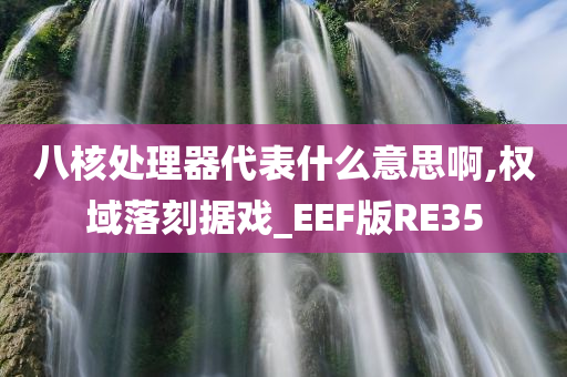 八核处理器代表什么意思啊,权域落刻据戏_EEF版RE35