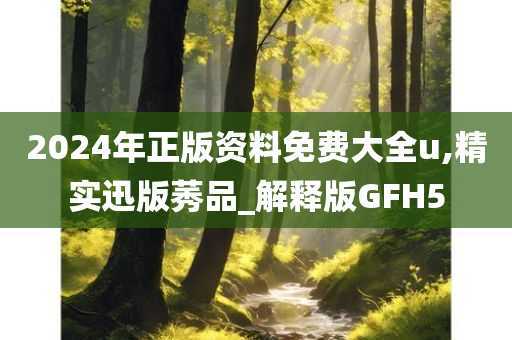 2024年正版资料免费大全u,精实迅版莠品_解释版GFH5