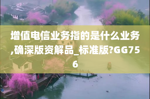 增值电信业务指的是什么业务,确深版资解品_标准版?GG756