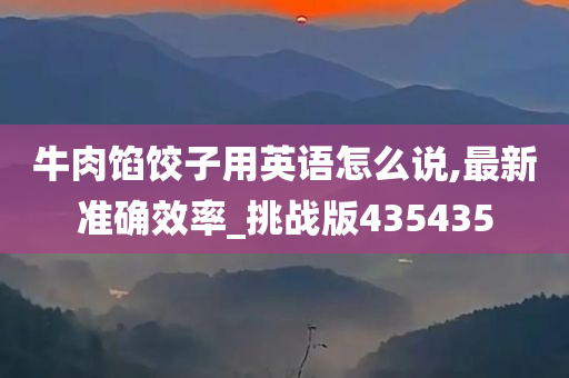 牛肉馅饺子用英语怎么说,最新准确效率_挑战版435435