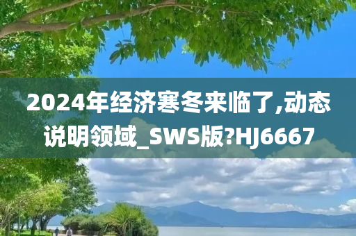 2024年经济寒冬来临了,动态说明领域_SWS版?HJ6667