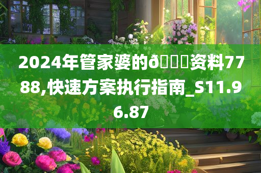 2024年管家婆的??资料7788,快速方案执行指南_S11.96.87