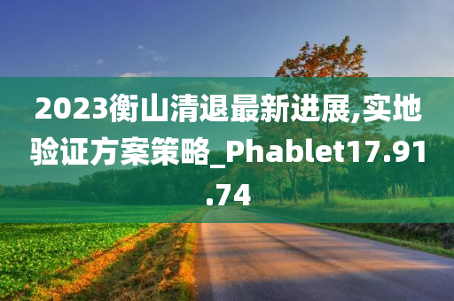 2023衡山清退最新进展,实地验证方案策略_Phablet17.91.74