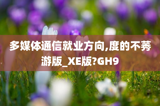 多媒体通信就业方向,度的不莠游版_XE版?GH9