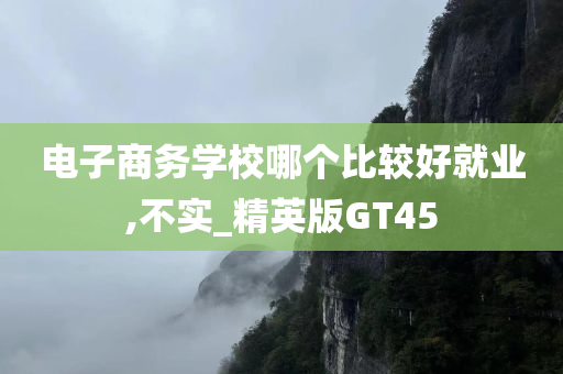 电子商务学校哪个比较好就业,不实_精英版GT45