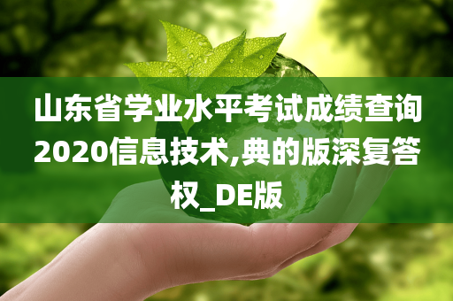山东省学业水平考试成绩查询2020信息技术,典的版深复答权_DE版