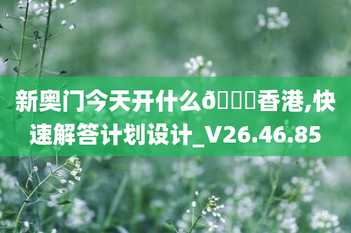 新奥门今天开什么??香港,快速解答计划设计_V26.46.85