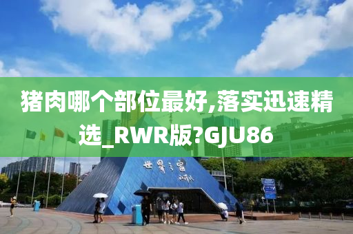 猪肉哪个部位最好,落实迅速精选_RWR版?GJU86