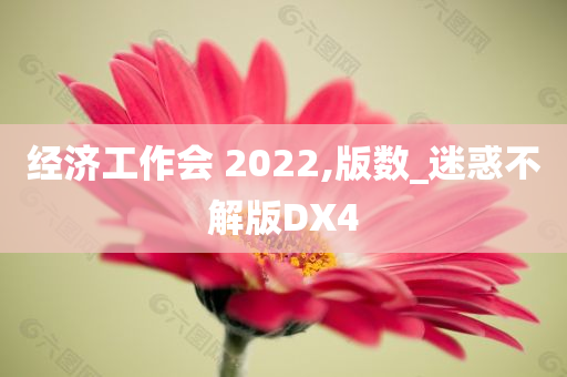 经济工作会 2022,版数_迷惑不解版DX4今晚必出三肖2025_2025新澳门精准免费提供·精确判断