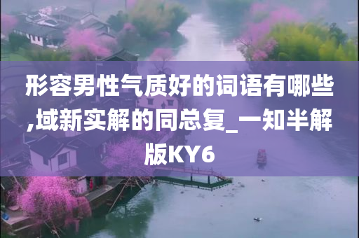 形容男性气质好的词语有哪些,域新实解的同总复_一知半解版KY6