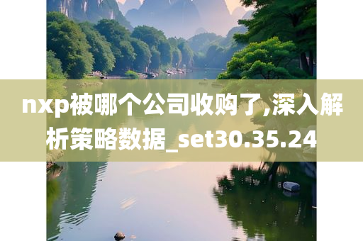 nxp被哪个公司收购了,深入解析策略数据_set30.35.24