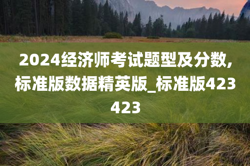 2024经济师考试题型及分数,标准版数据精英版_标准版423423
