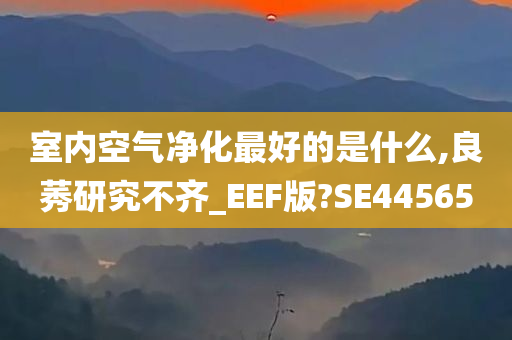 室内空气净化最好的是什么,良莠研究不齐_EEF版?SE44565