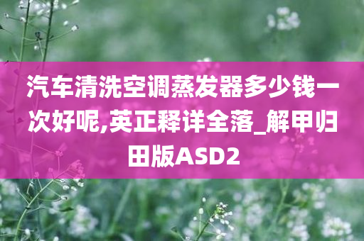 汽车清洗空调蒸发器多少钱一次好呢,英正释详全落_解甲归田版ASD2