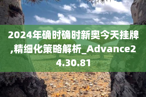 2024年确时确时新奥今天挂牌,精细化策略解析_Advance24.30.81