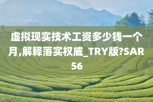 虚拟现实技术工资多少钱一个月,解释落实权威_TRY版?SAR56
