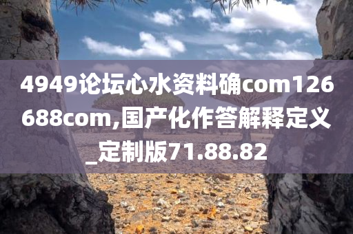 4949论坛心水资料确com126688com,国产化作答解释定义_定制版71.88.82