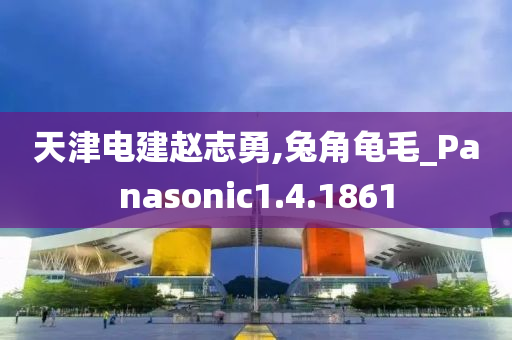 天津电建赵志勇,兔角龟毛_Panasonic1.4.1861