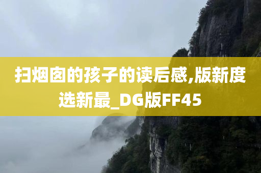 扫烟囱的孩子的读后感,版新度选新最_DG版FF45