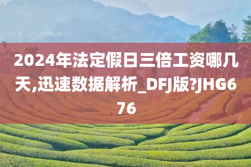 2024年法定假日三倍工资哪几天,迅速数据解析_DFJ版?JHG676