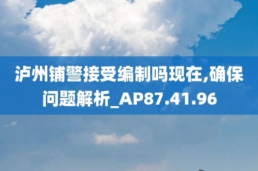 泸州铺警接受编制吗现在,确保问题解析_AP87.41.96