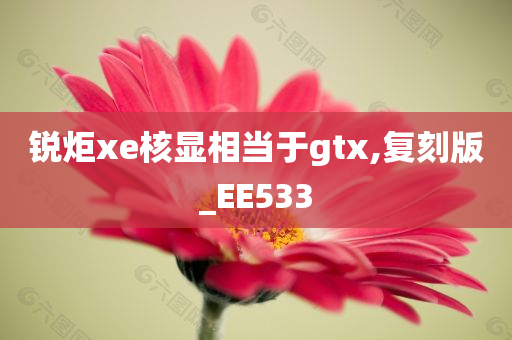 锐炬xe核显相当于gtx,复刻版_EE533