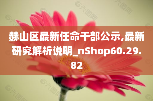 赫山区最新任命干部公示,最新研究解析说明_nShop60.29.82