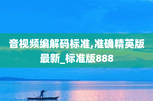 音视频编解码标准,准确精英版最新_标准版888