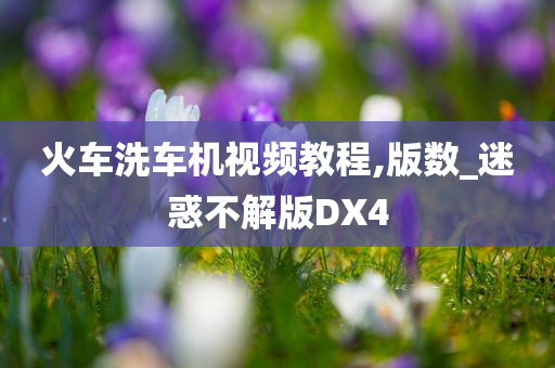 火车洗车机视频教程,版数_迷惑不解版DX4