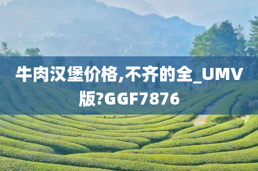 牛肉汉堡价格,不齐的全_UMV版?GGF7876