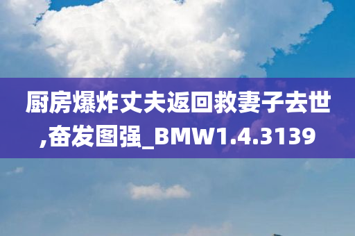 厨房爆炸丈夫返回救妻子去世,奋发图强_BMW1.4.3139