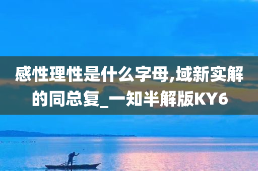 感性理性是什么字母,域新实解的同总复_一知半解版KY6