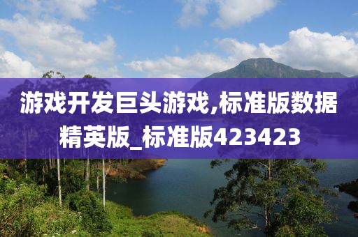 游戏开发巨头游戏,标准版数据精英版_标准版423423